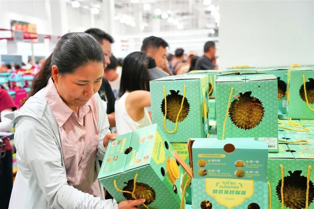 KS凯时·(中国区)官方网站