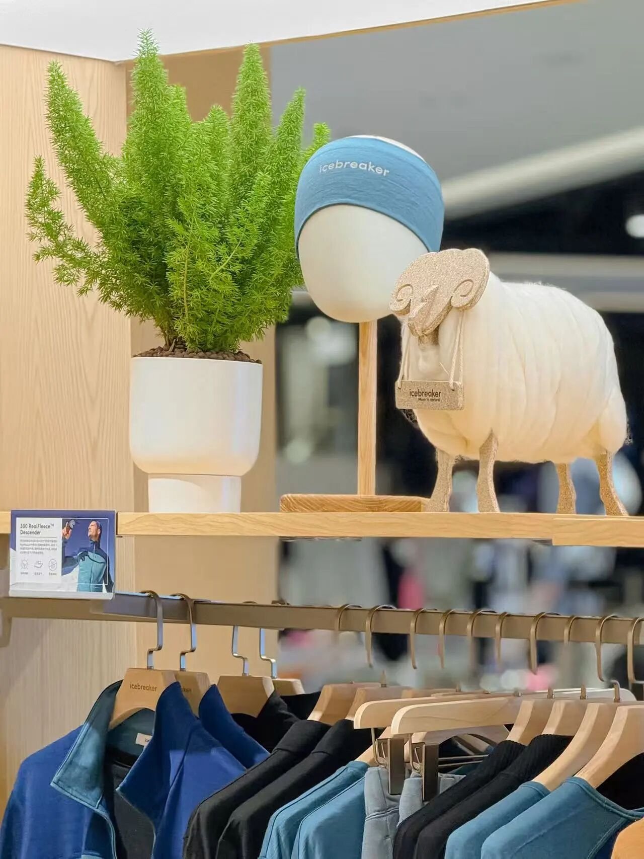 KS凯时·(中国区)官方网站