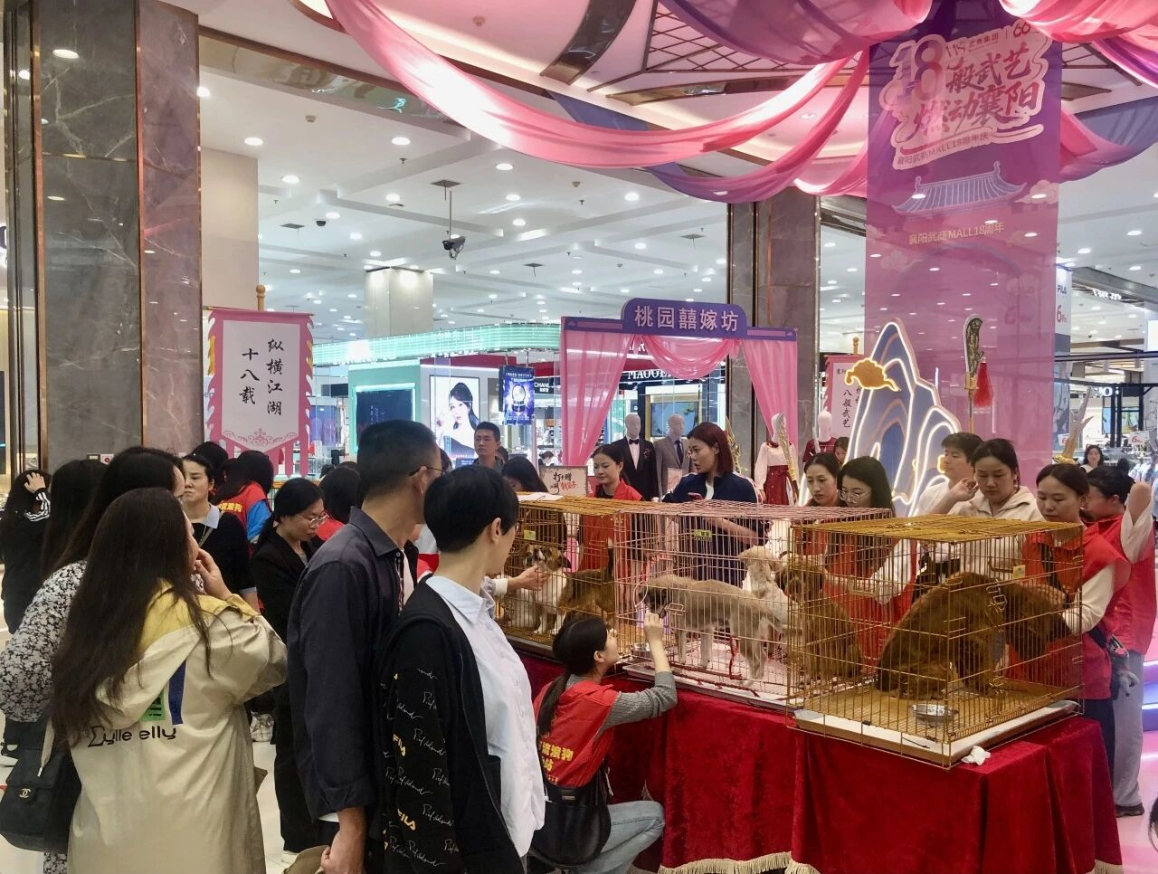 KS凯时·(中国区)官方网站