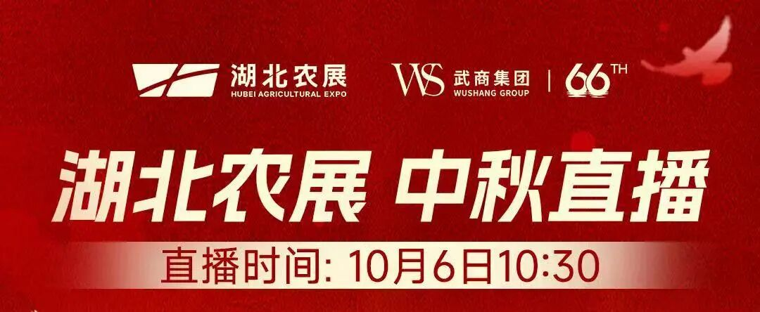 KS凯时·(中国区)官方网站