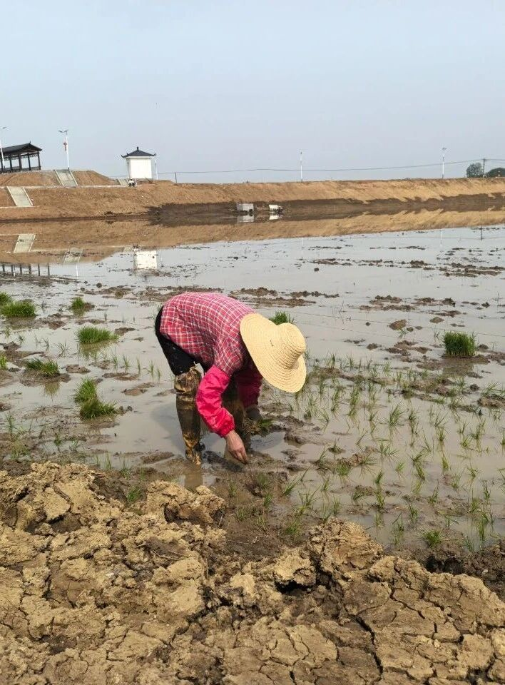 KS凯时·(中国区)官方网站