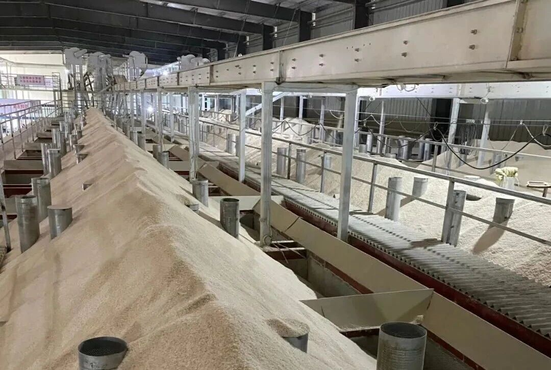 KS凯时·(中国区)官方网站