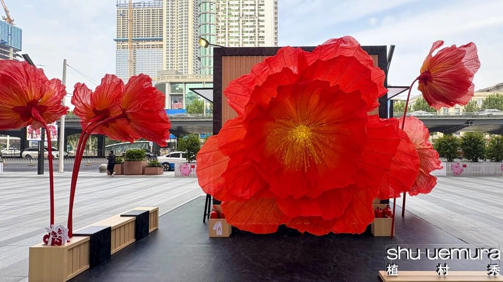 KS凯时·(中国区)官方网站