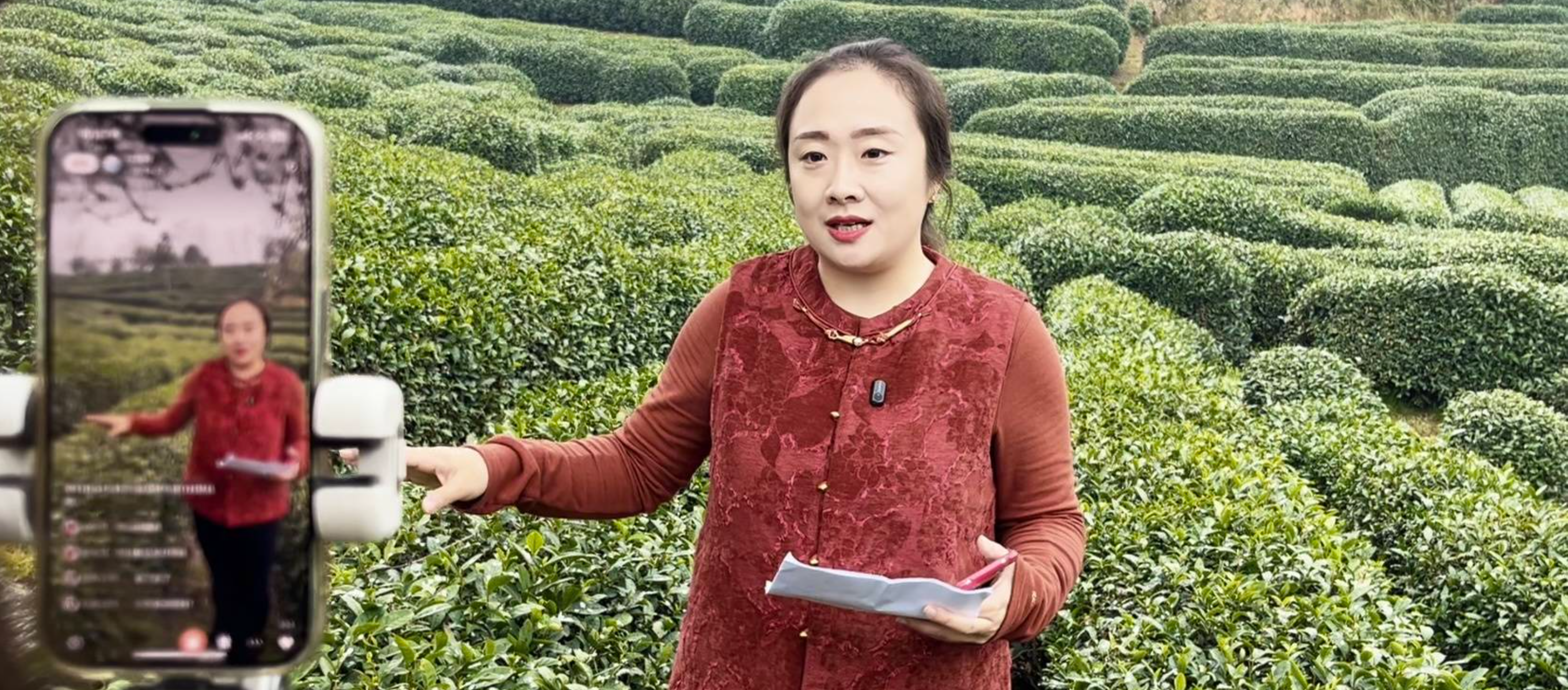 抢抓湖北千亿茶产业新机缘 ks凯时官网竞逐茶叶赛路